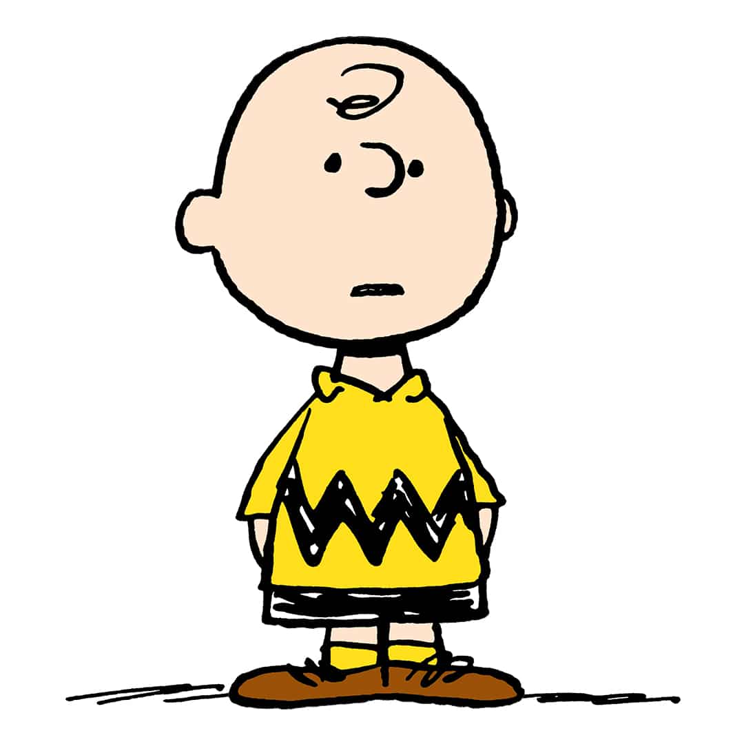 Charlie Brown license
