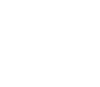 canadian tire W